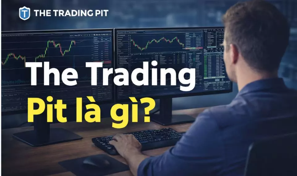 thetradingpit la gi